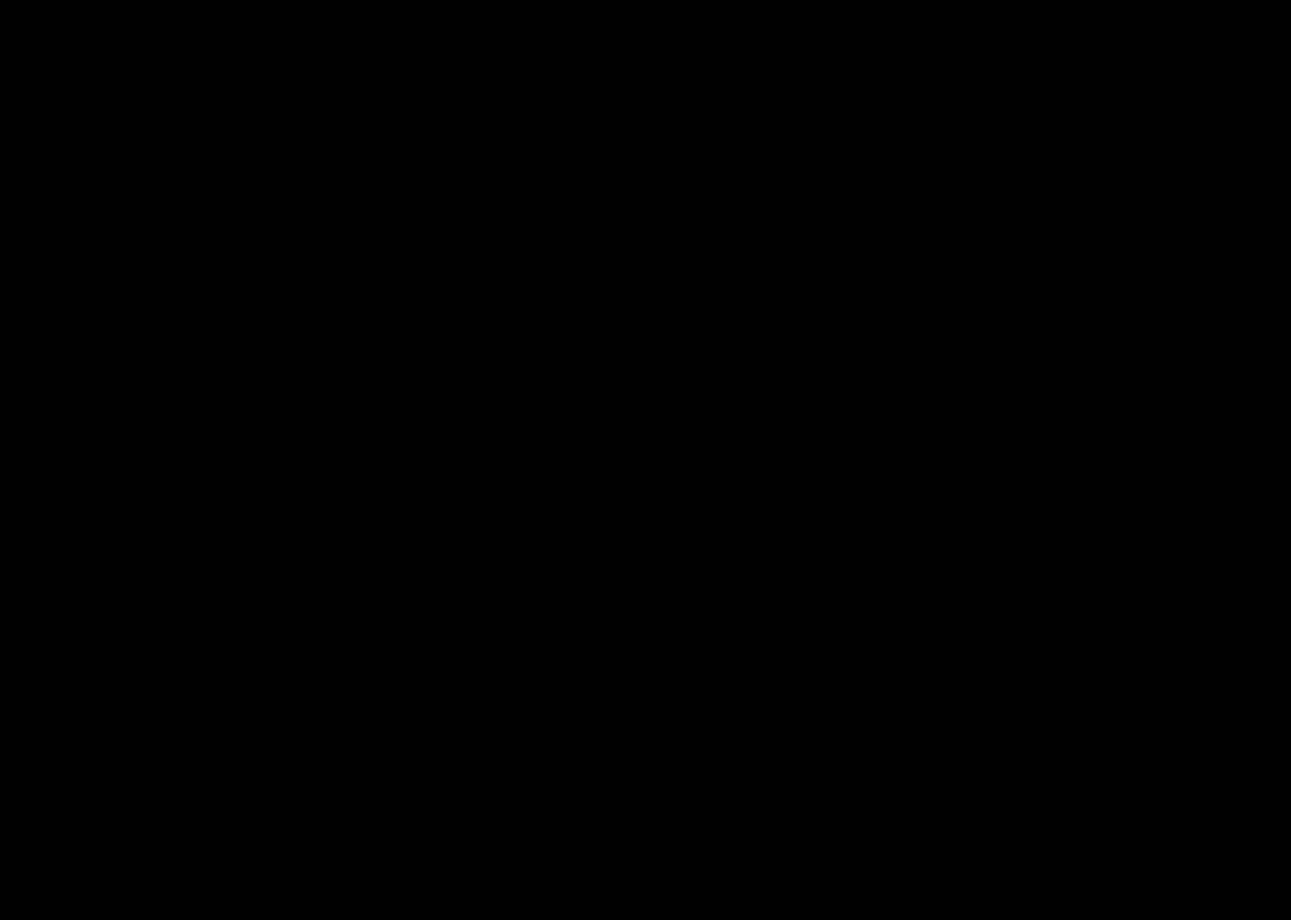 Rapaechelon